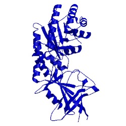 Image of CATH 7odc