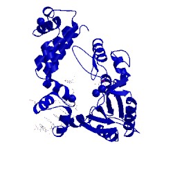 Image of CATH 8icl