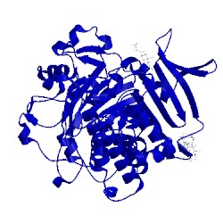 Image of CATH 1ac5