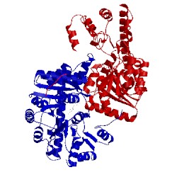 Image of CATH 1ay4