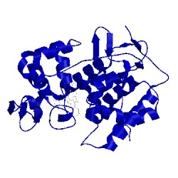 Image of CATH 1cmp
