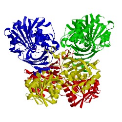 Image of CATH 1dbv