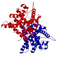 Image of CATH 1e3k