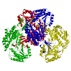 Image of CATH 1ez0