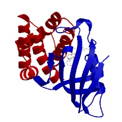 Image of CATH 1fap