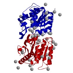 Image of CATH 1fj2