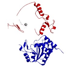 Image of CATH 1fq1