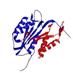 Image of CATH 1gfw