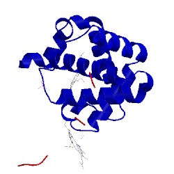 Image of CATH 1hho