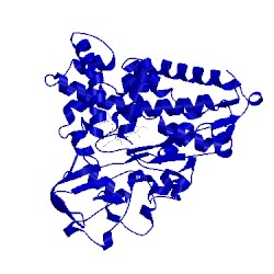 Image of CATH 1iwi