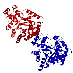 Image of CATH 1j96