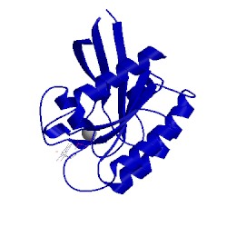 Image of CATH 1lf5