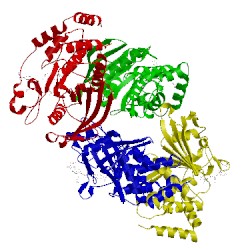 Image of CATH 1lqf