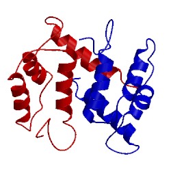 Image of CATH 1m31