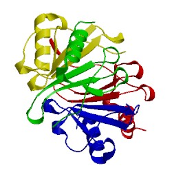 Image of CATH 1nap