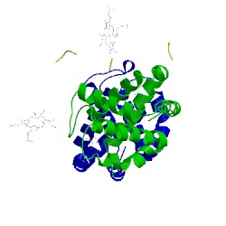 Image of CATH 1nej