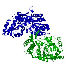 Image of CATH 1nmu