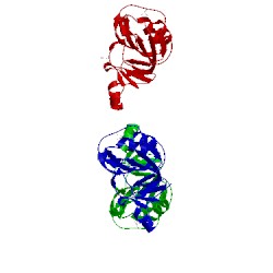 Image of CATH 1nxj