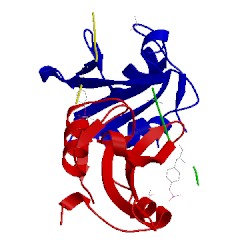 Image of CATH 1p13
