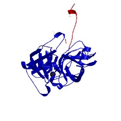 Image of CATH 1p2k