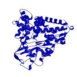 Image of CATH 1phg