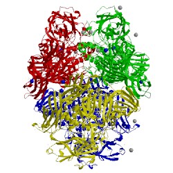 Image of CATH 1px3