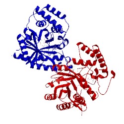 Image of CATH 1pz1