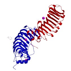 Image of CATH 1qyy