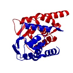 Image of CATH 1r28