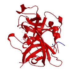 Image of CATH 1rtf