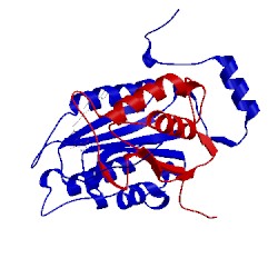 Image of CATH 1rww