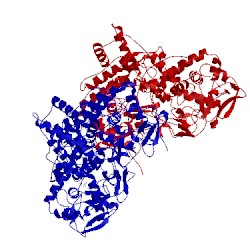 Image of CATH 1sj2