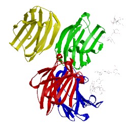 Image of CATH 1slb