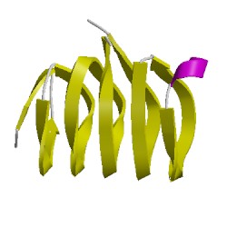 Image of CATH 1sstB02