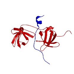 Image of CATH 1wlp