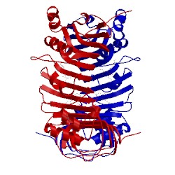 Image of CATH 1wwl