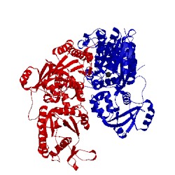 Image of CATH 1x6v