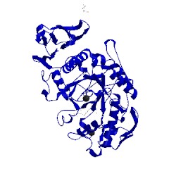 Image of CATH 1xcw