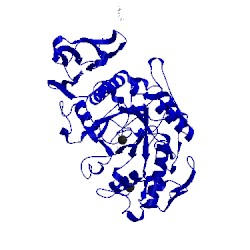 Image of CATH 1xh1