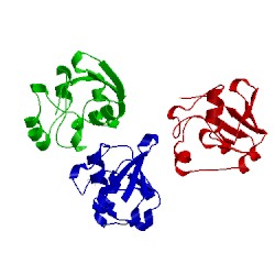 Image of CATH 1xlp