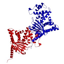 Image of CATH 1xsz