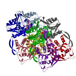 Image of CATH 1xtu