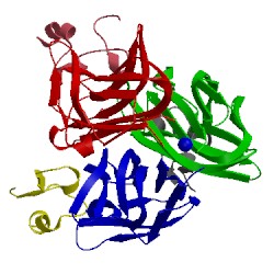 Image of CATH 1xu2