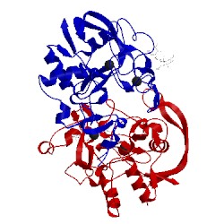 Image of CATH 1y4j