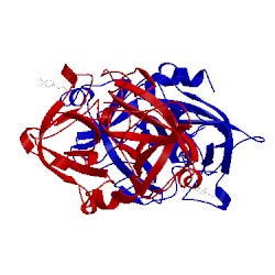 Image of CATH 1ybw