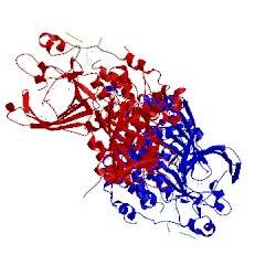 Image of CATH 1ygr