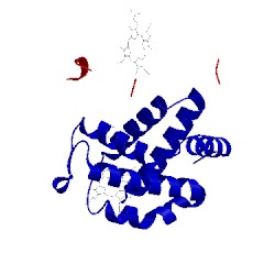 Image of CATH 1yvt