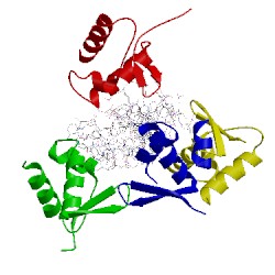 Image of CATH 2acj