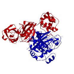 Image of CATH 2amp