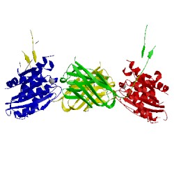 Image of CATH 2b2x